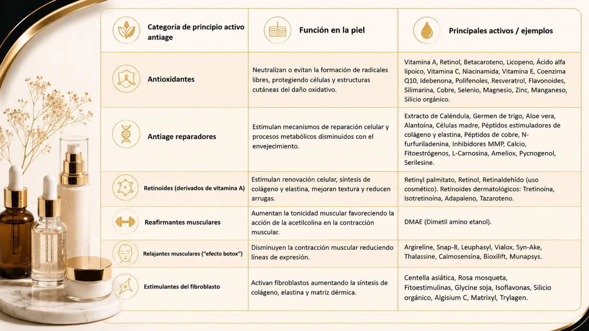 Categorías de principios activos antiage