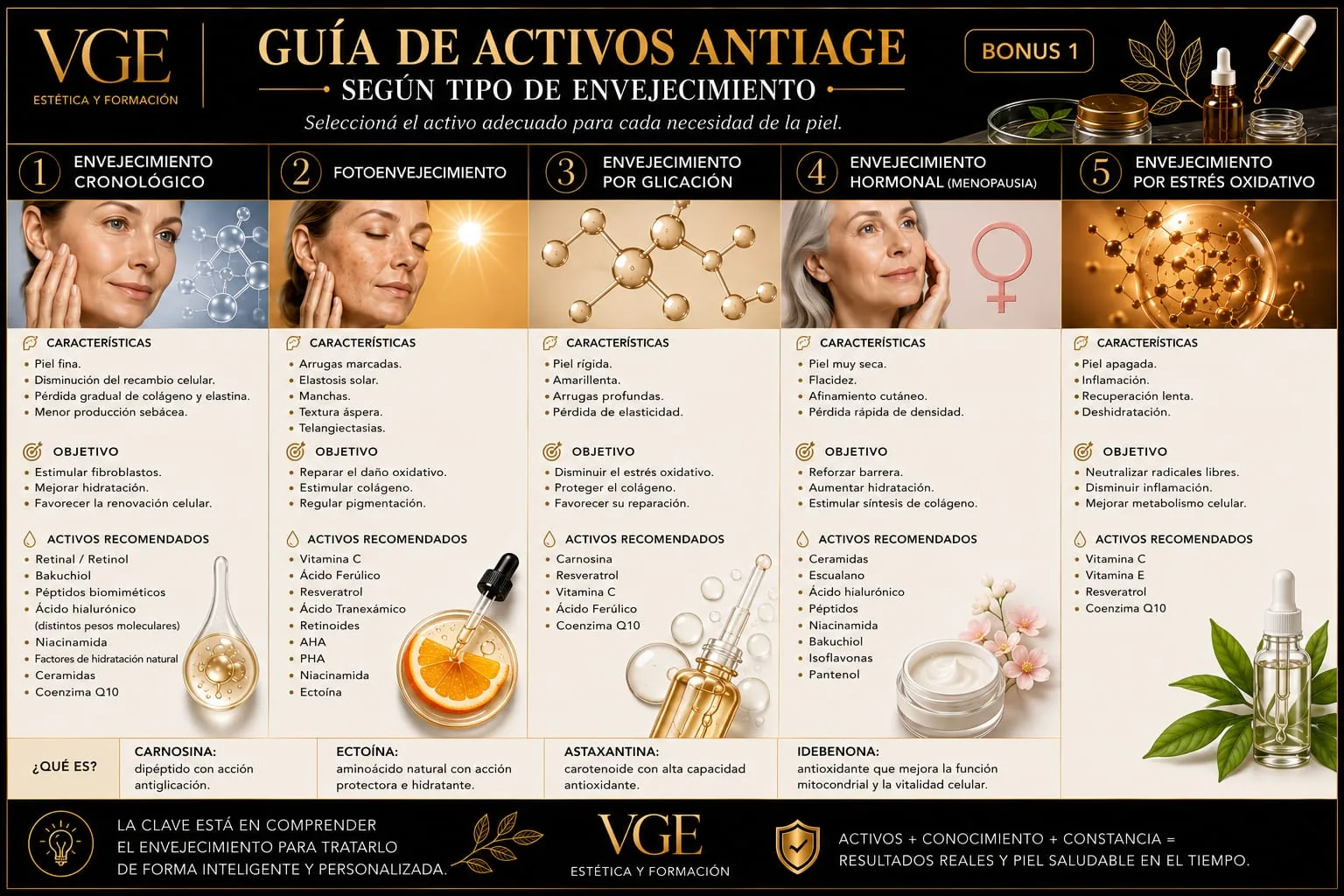 Guía de activos antiage según tipo de envejecimiento